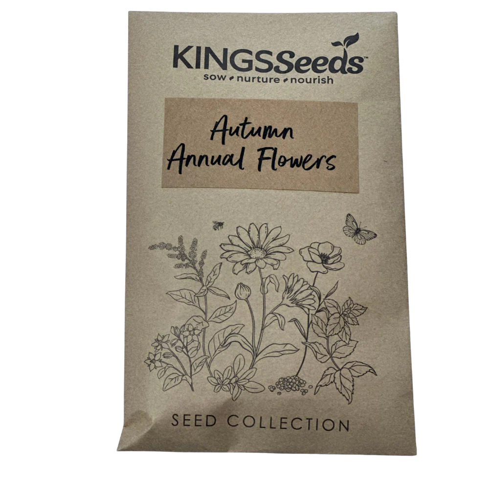 Autumn Annual Flowers - Image 2