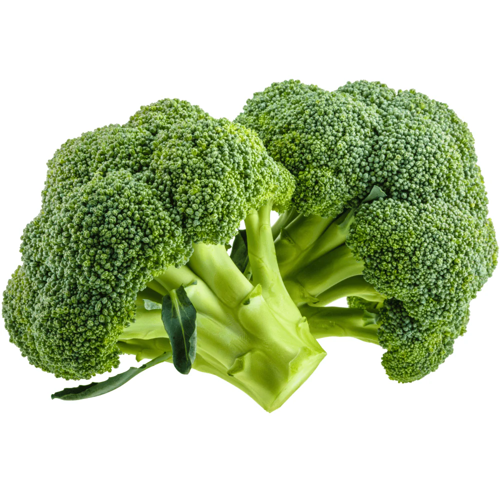Broccoli Winter Green F1 - Image 2