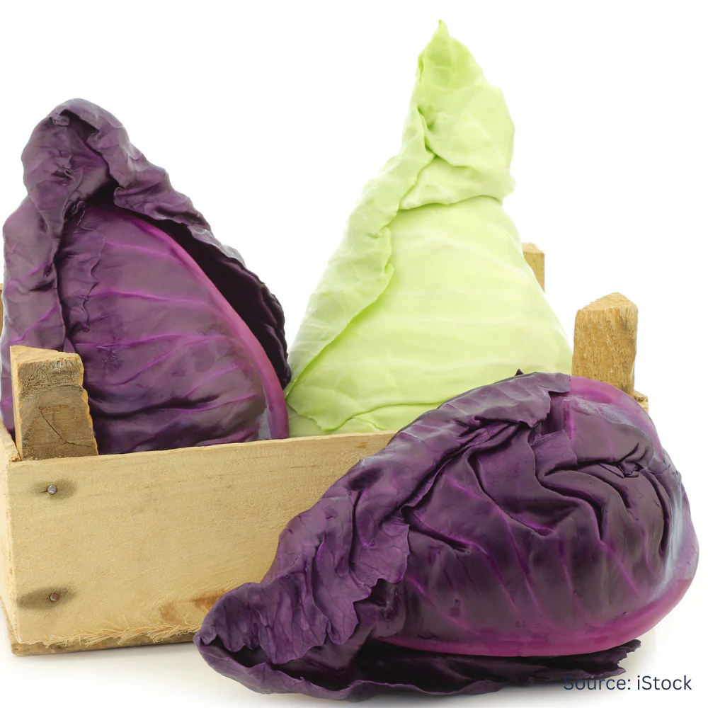 Cabbage Sugarloaf Mix