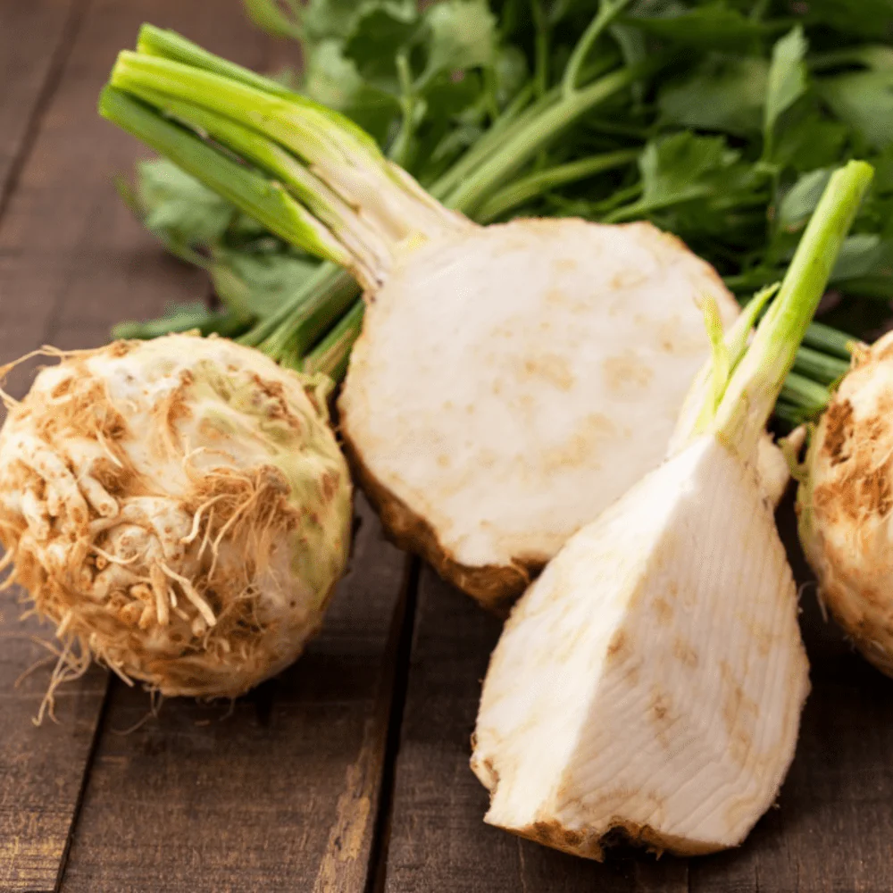 Celeriac Mars - Image 3