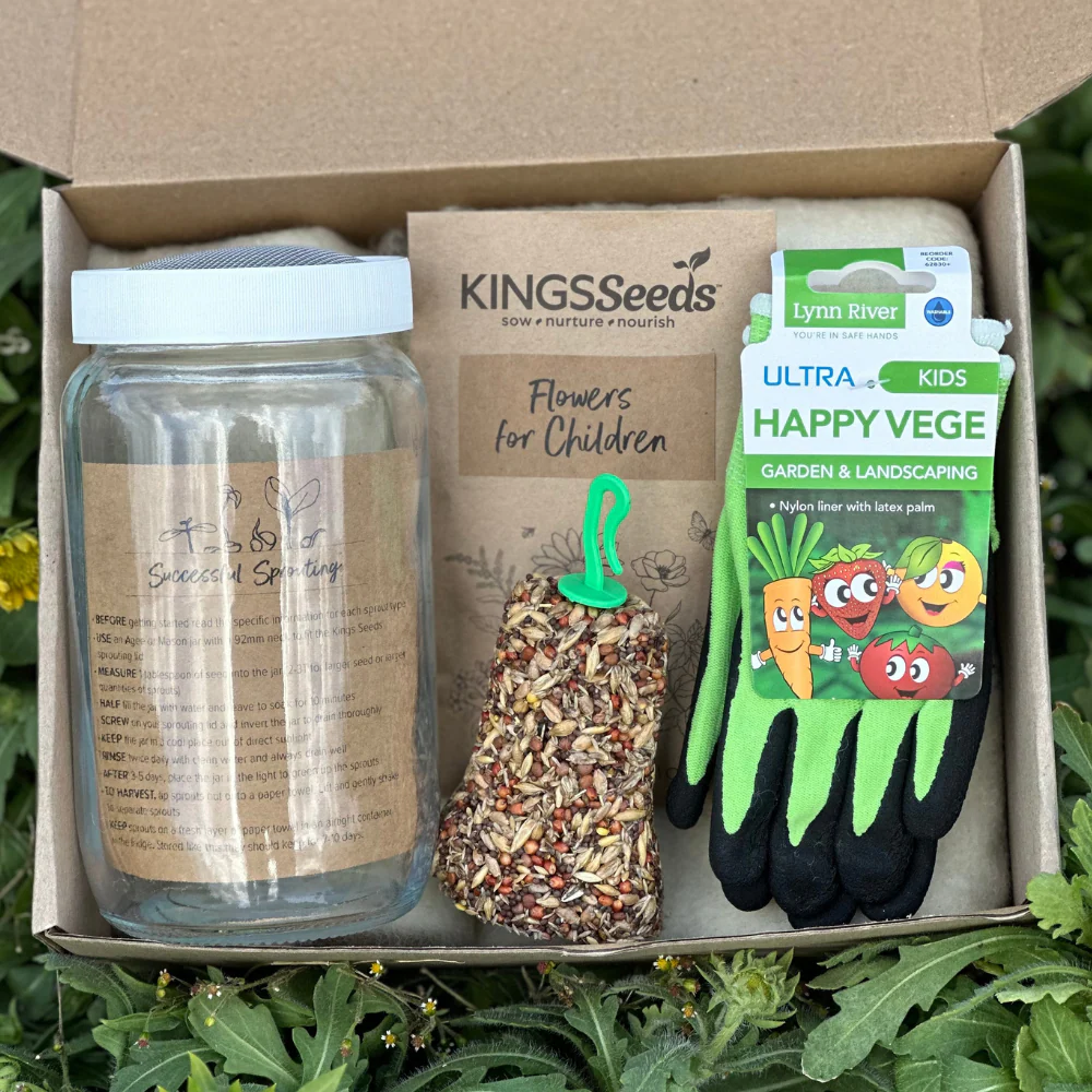 Little Gardeners Get Growing Kit - Flowers - Image 3