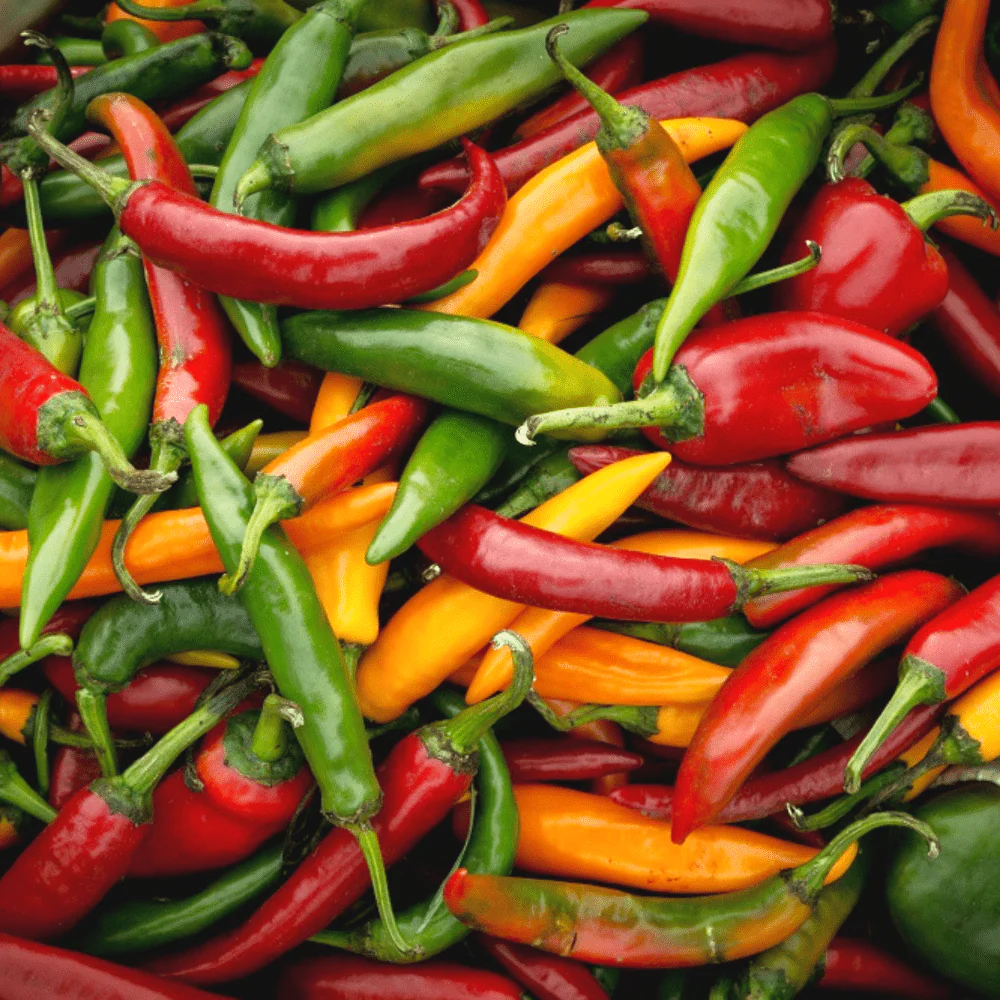 Chilli Spicy Blend - Image 2