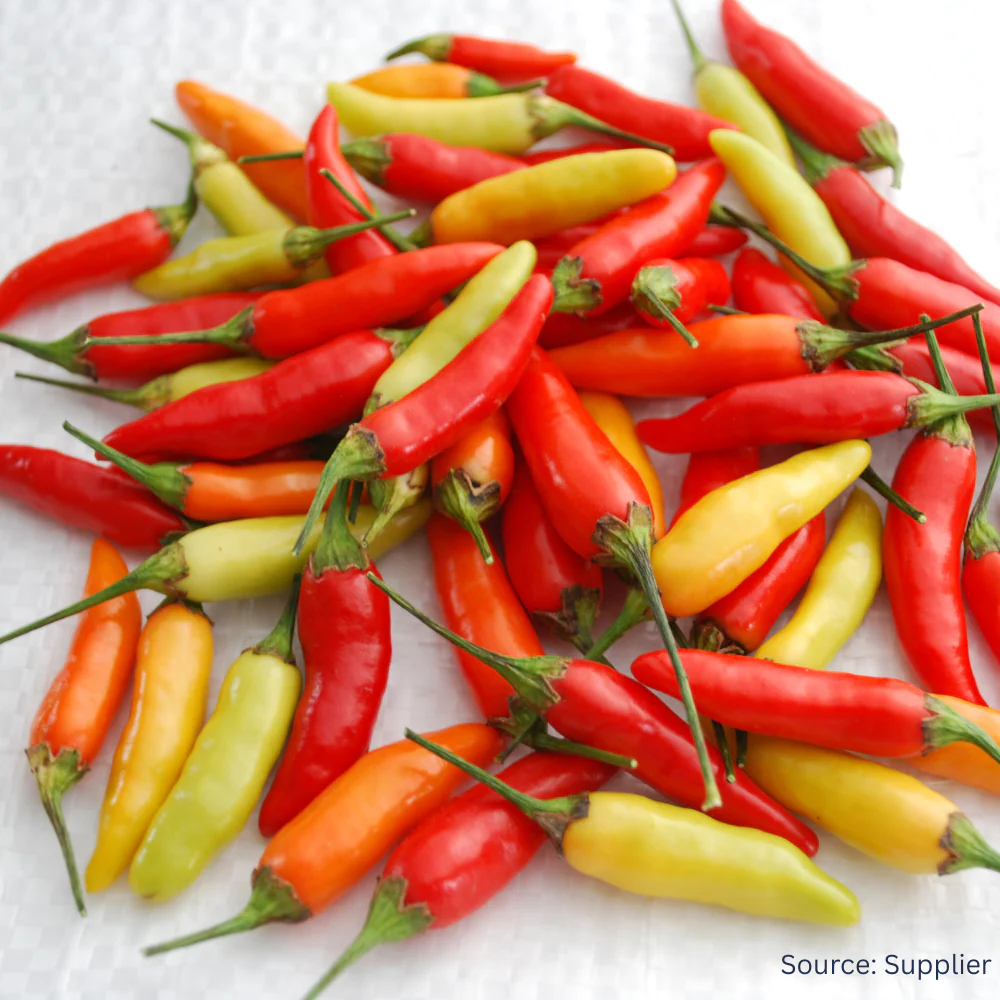 Chilli Tabasco