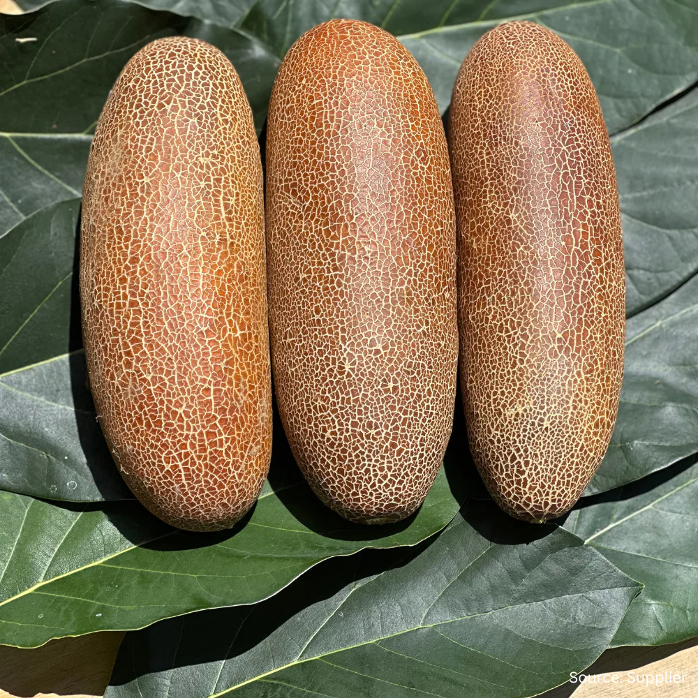 Cucumber Poona Kheera - Image 3