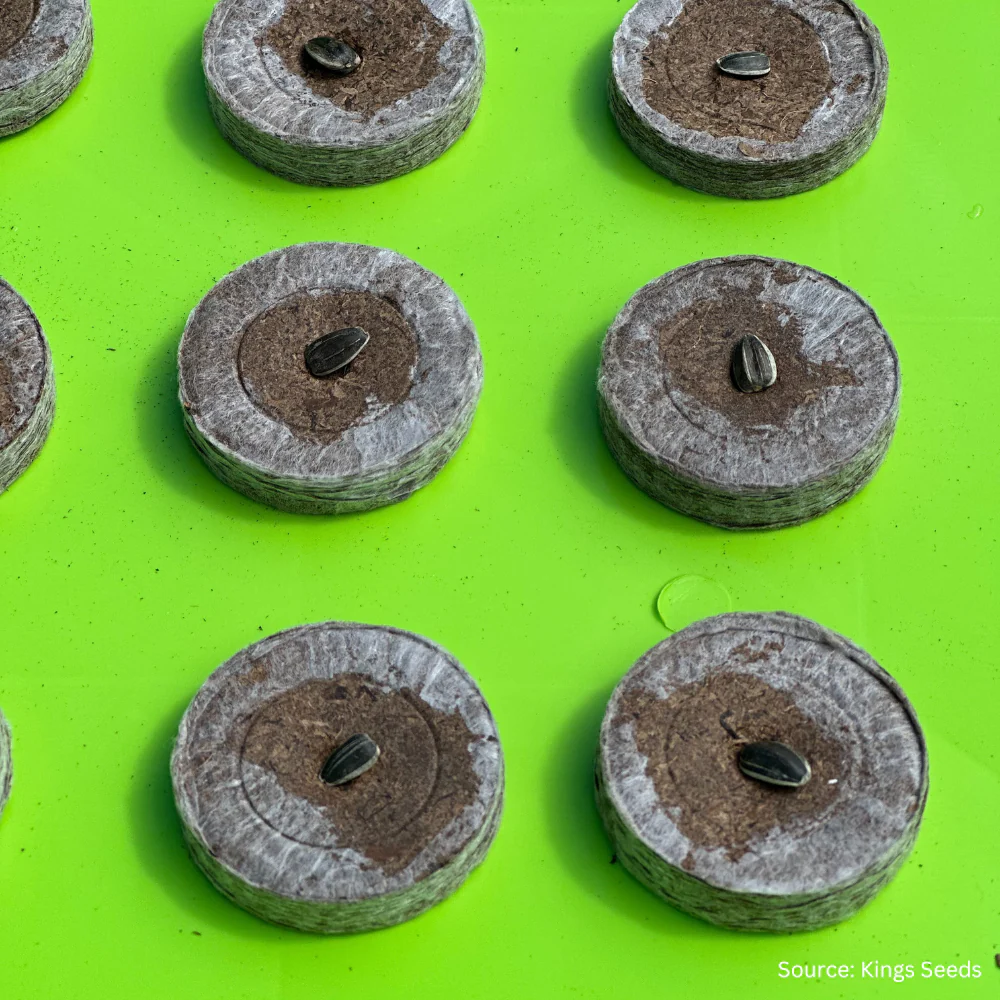 Easi Grow Pellets - Image 6