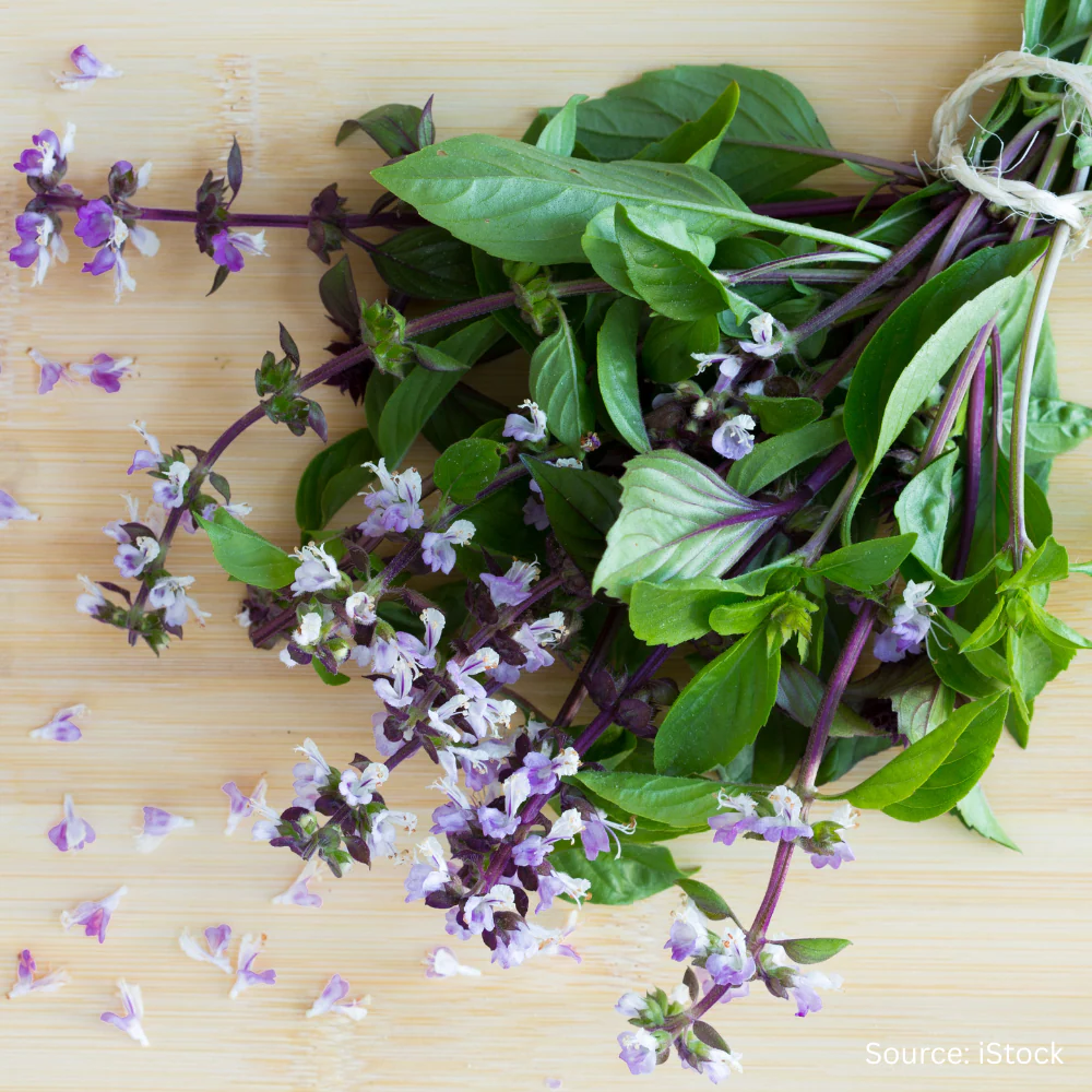 Herbs for Bouquets - Image 2