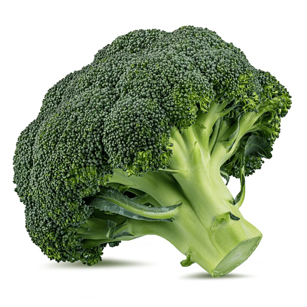 Organic Broccoli Belstar F1 - Image 2