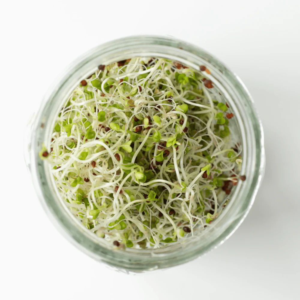 Organic Green Broccoli - Image 3