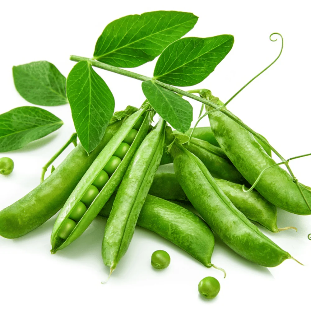 Pea Greenfeast - Image 2