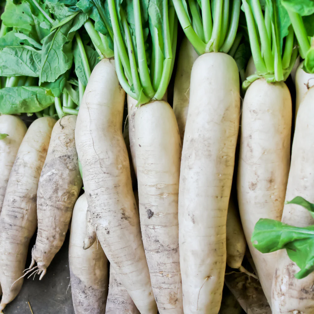 Radish Yuki