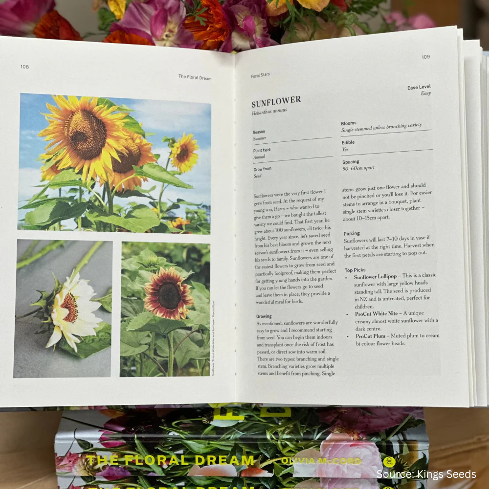 The Floral Dream - Image 2