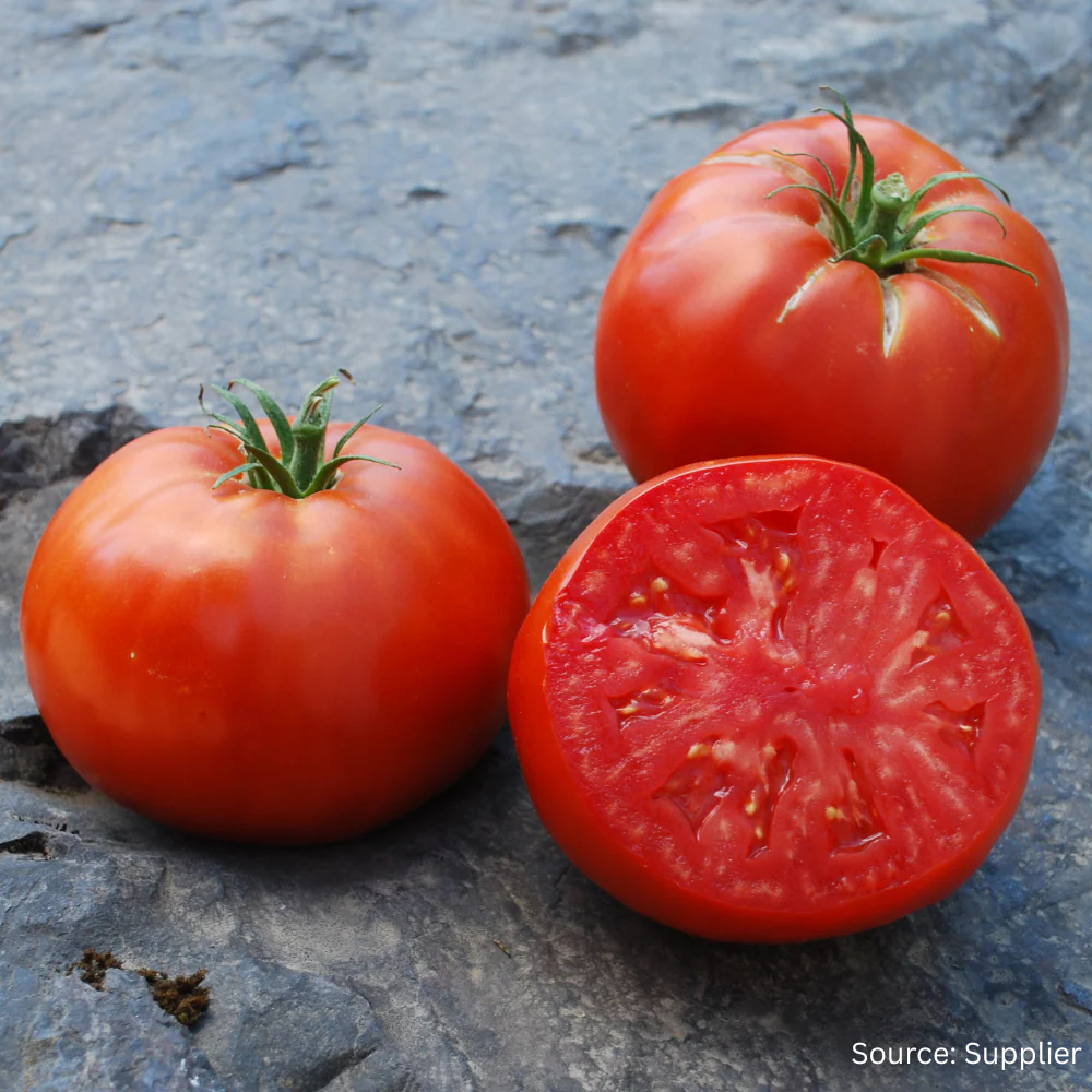 Tomato Delicious