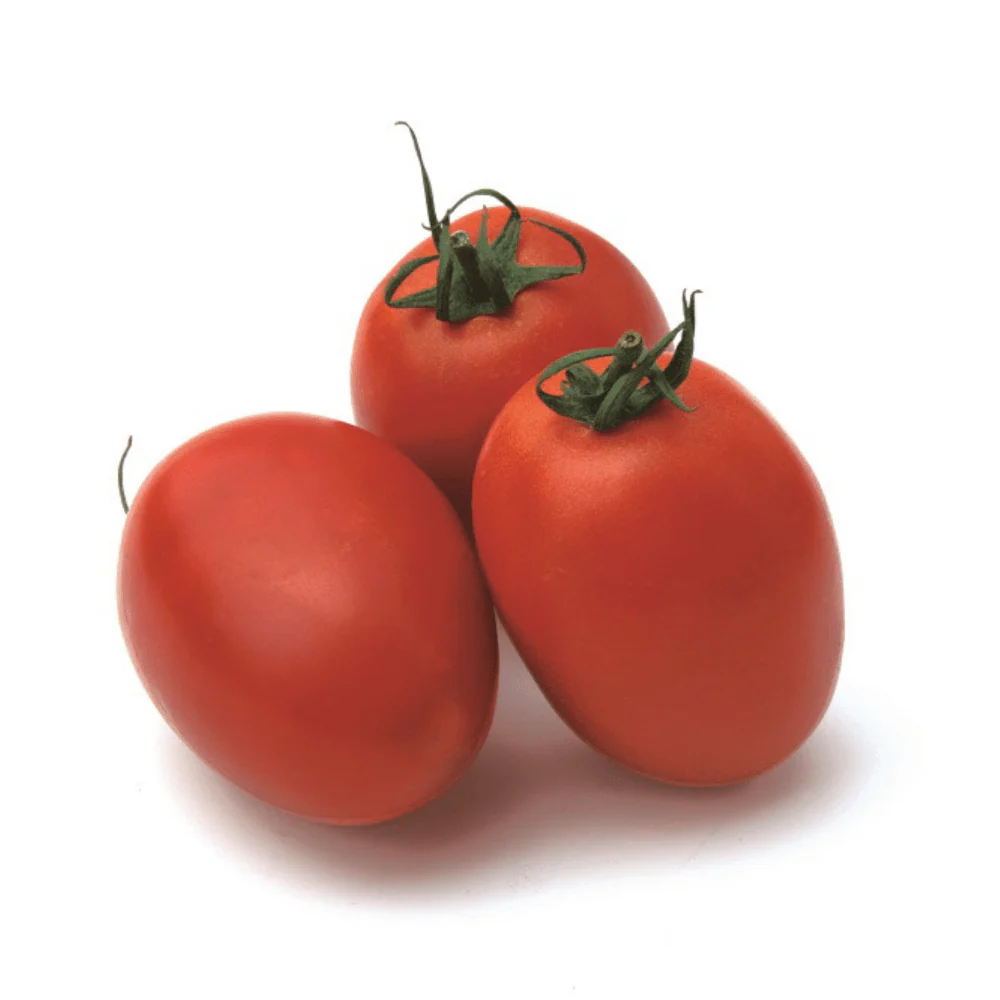 Tomato Sicilian Sauce F1 - Image 2