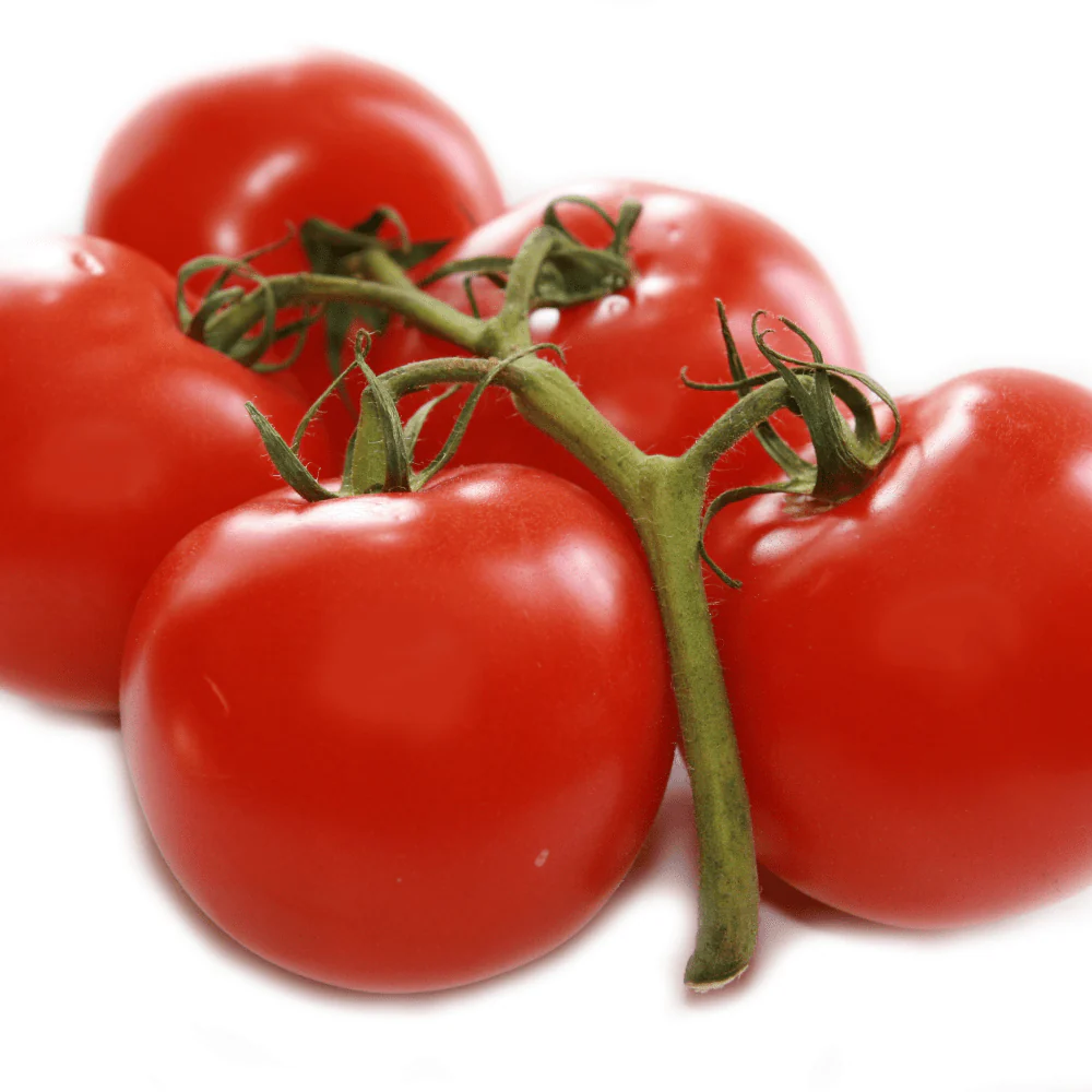 Tomato Tommy Toe - Image 2