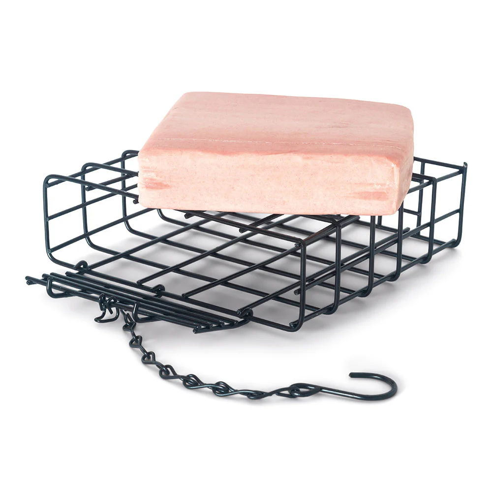 Wild Bird Cake Feeding Set - Image 2