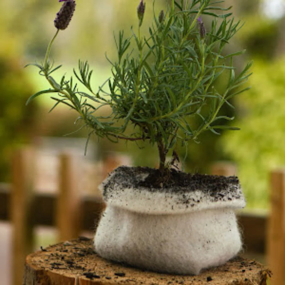 Wool Grow Bags 1L - Image 3