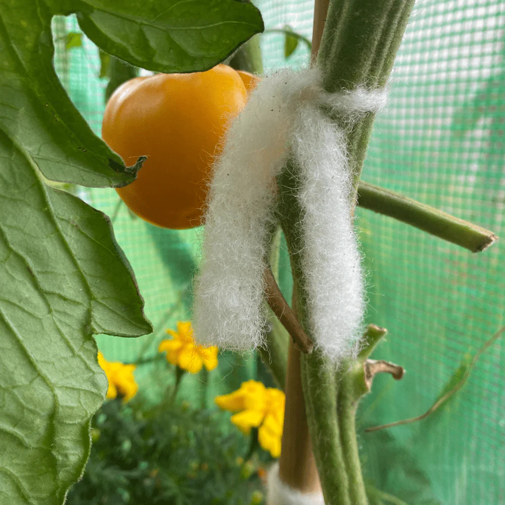 Wool Plant Tie